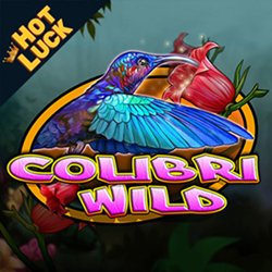 Colibri Wild